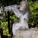 monkey_macaque_balinese_mf_ubud_v_0854_bal4566.jpg